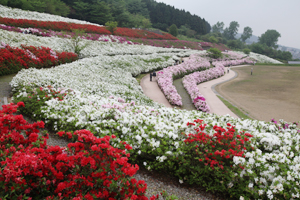 大乗寺丘陵公園