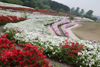 大乗寺丘陵公園