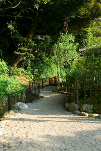 緑の小径（本多町）